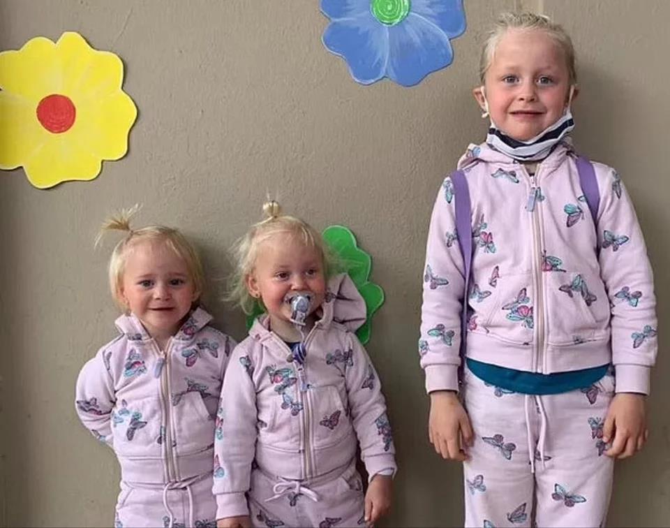 4012904531045091 image