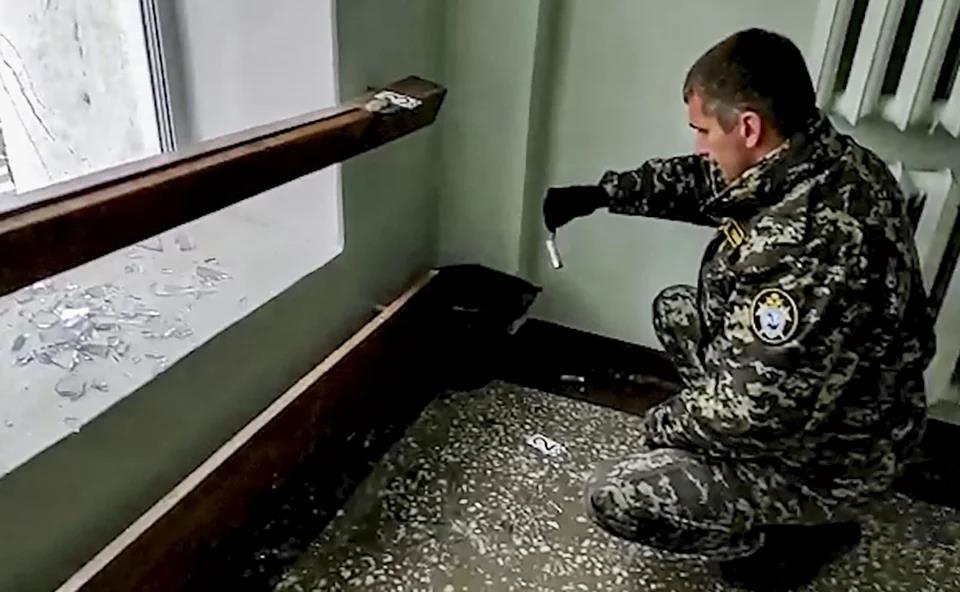 4013989588156351 image