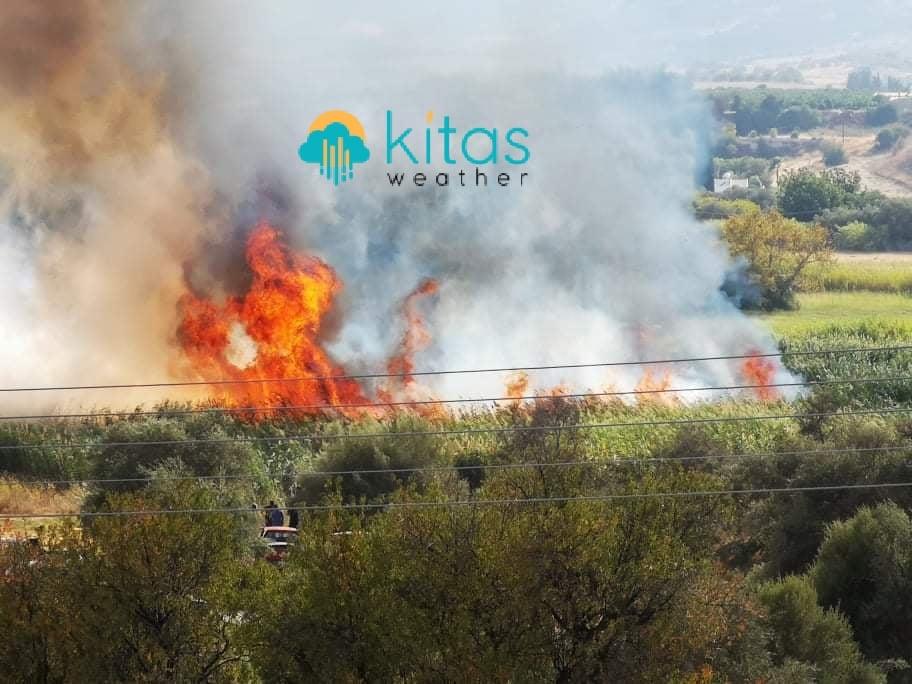 4016460726379455 image