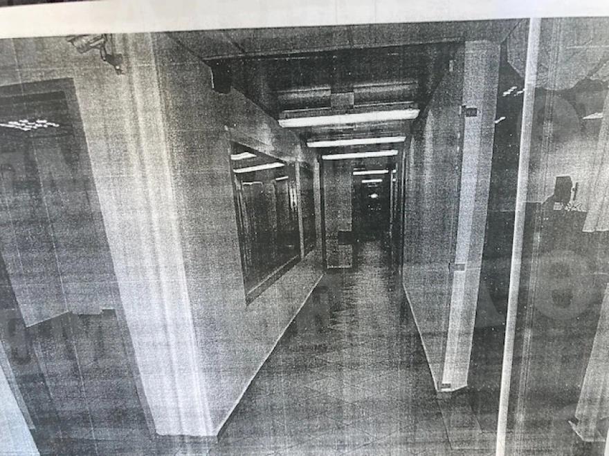 4017539646896392 image