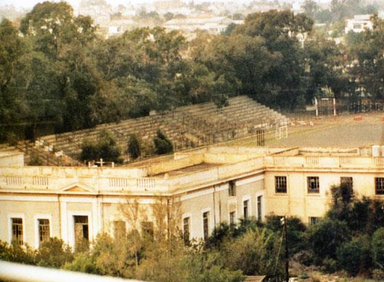 4015472731902665 image