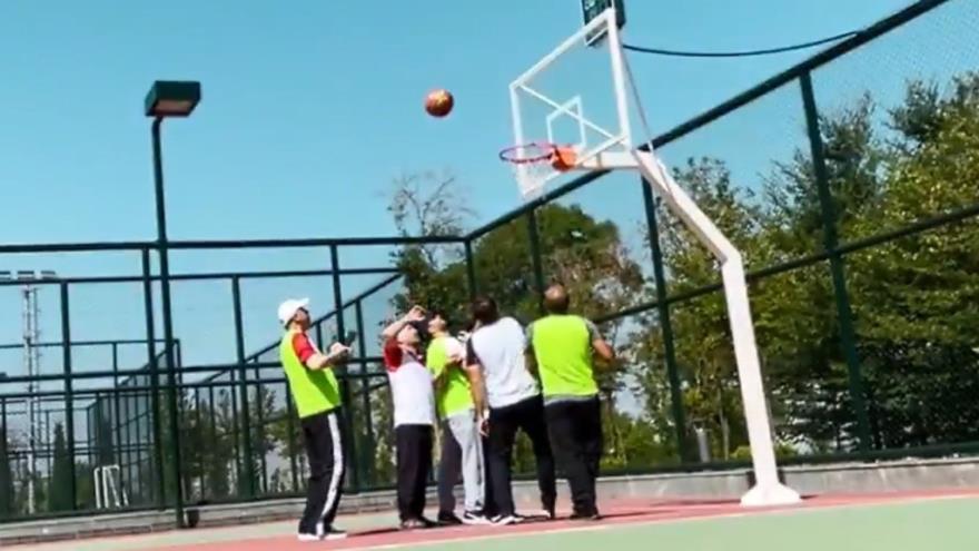 4026723409856537 image