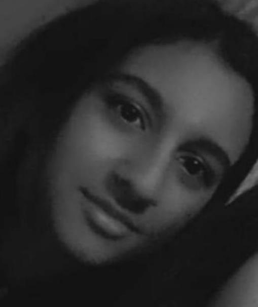 4027604304292048 image