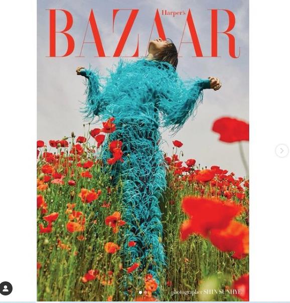 4029210941854765 image