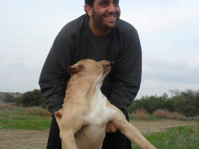 4033526665201196 image