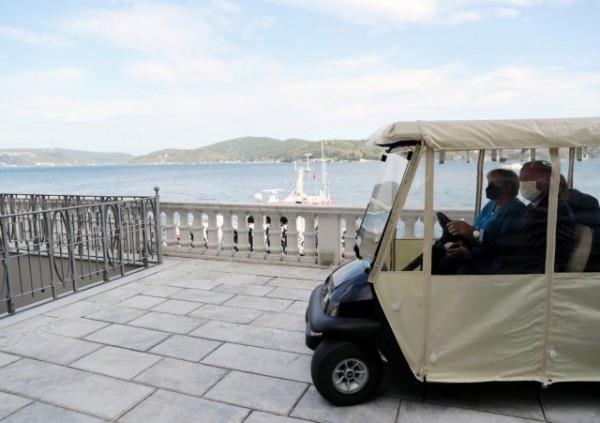 4036326227009756 image