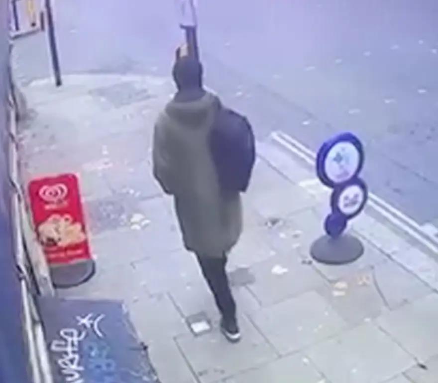 4038601145204242 image