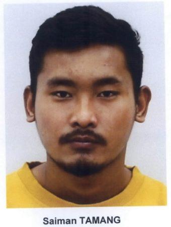 4040633535991817 image