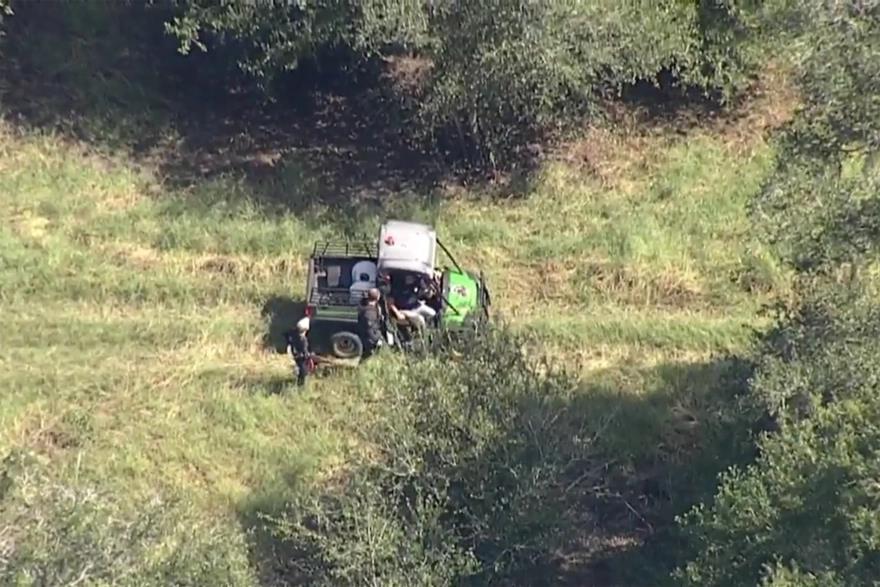 4041186144137419 image