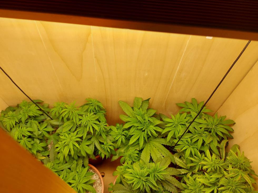 4044303111930114 image