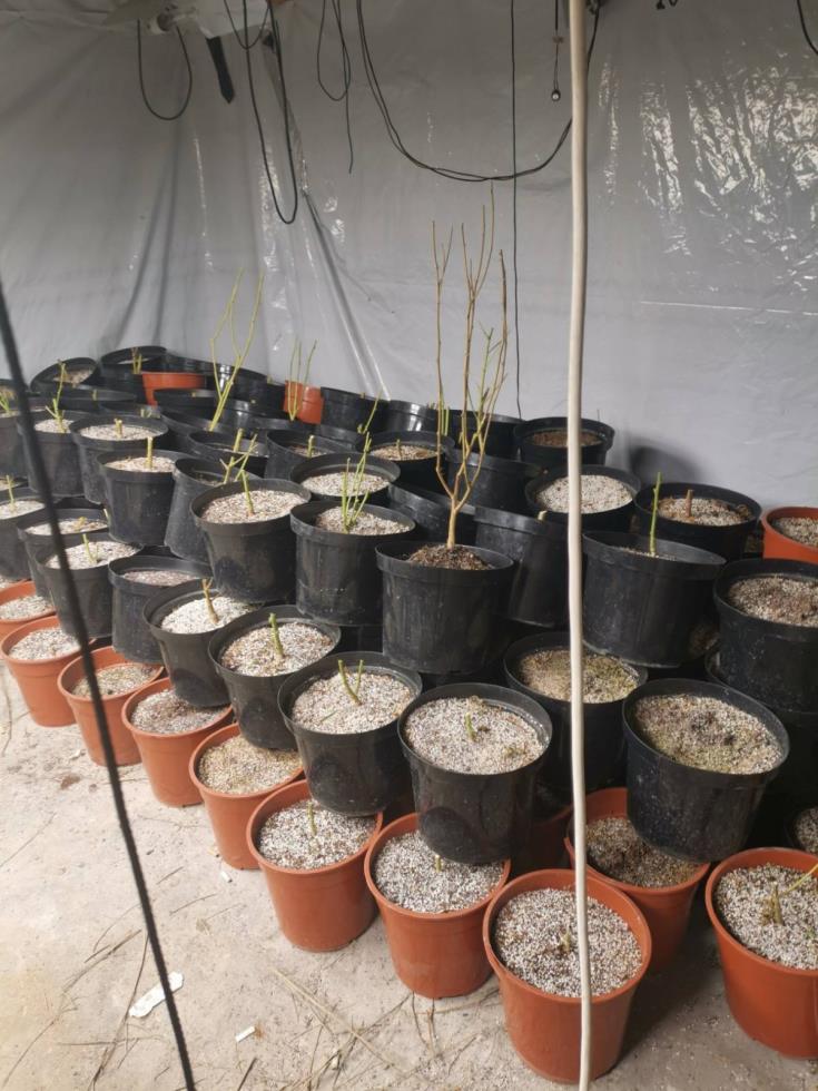 4044303182131914 image