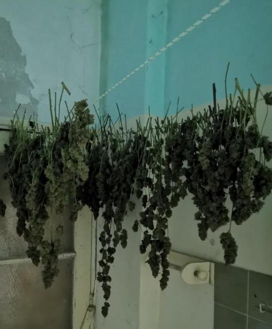 4044303237513334 image