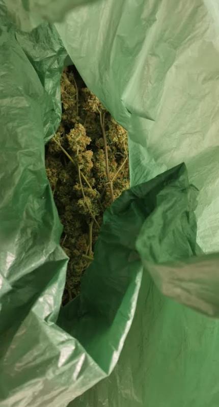 4044303363564566 image