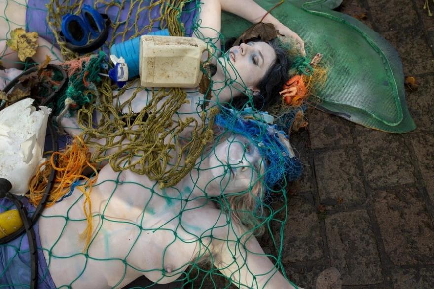 4049447279878291 image