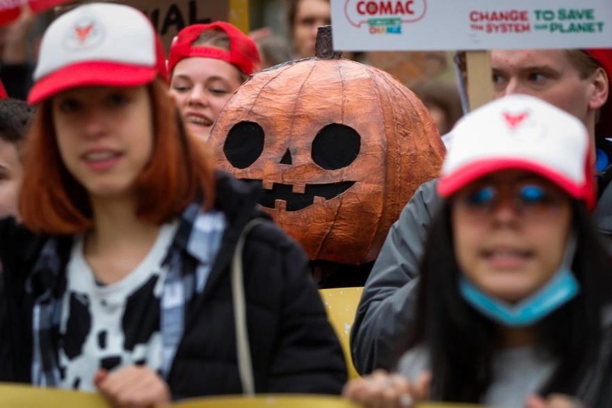 4049447329330608 image