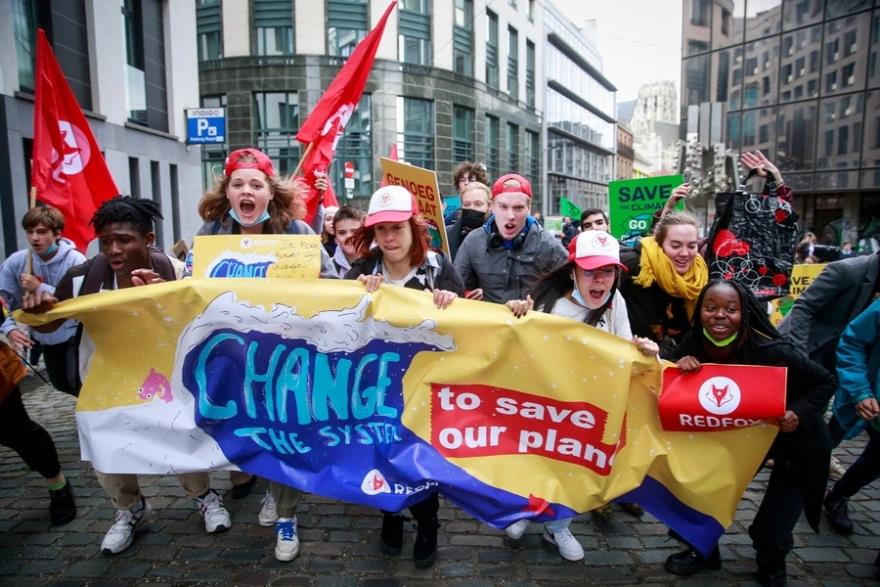 4049447516063805 image