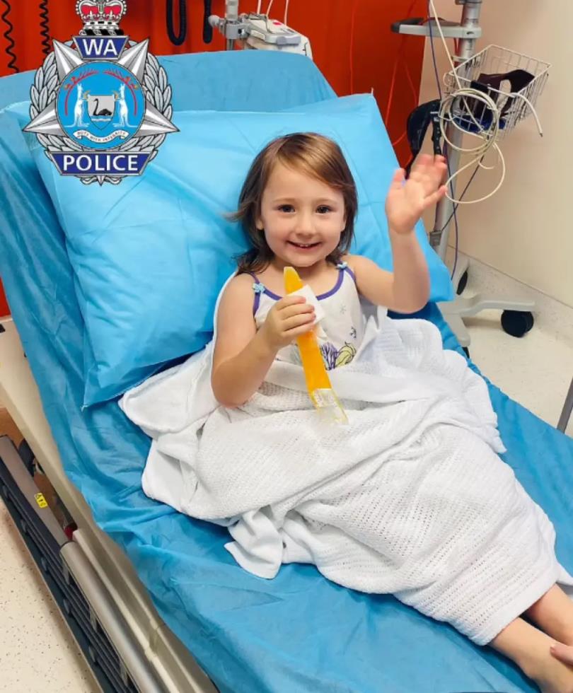 4051689543742524 image