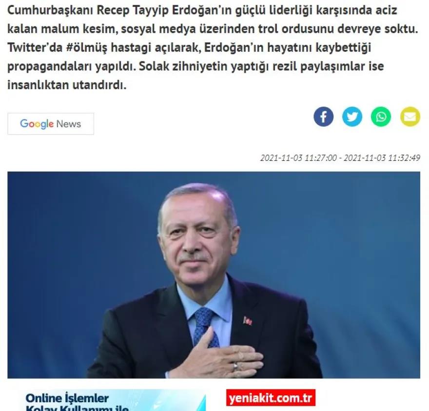 4051793969269614 image