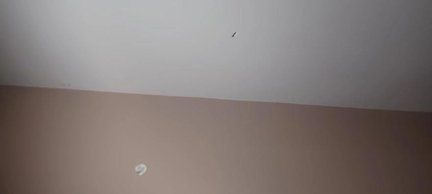 4058989984937151 image