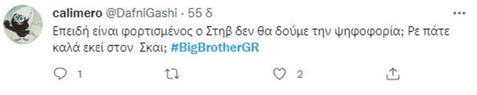 4060221865522583 bigbrother-13
