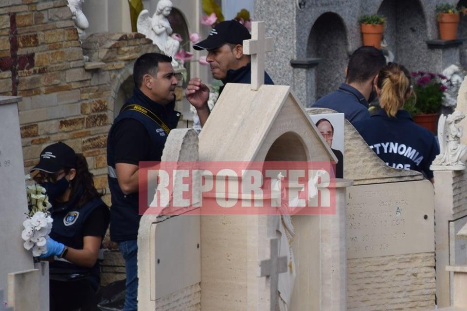 4063857702115396 cats