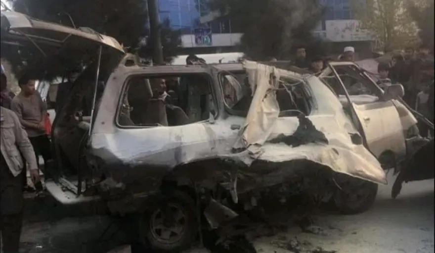 4064175528631765 image