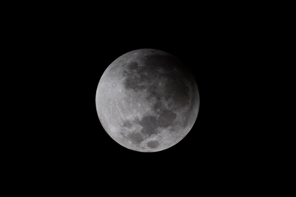 4065929333158930 image