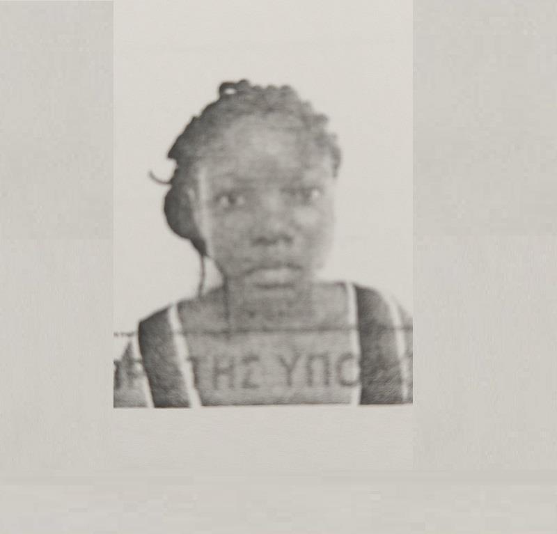 4068415559706869 image