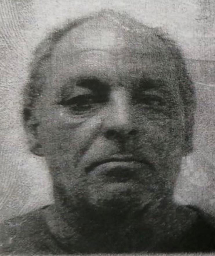 4069092643033994 image