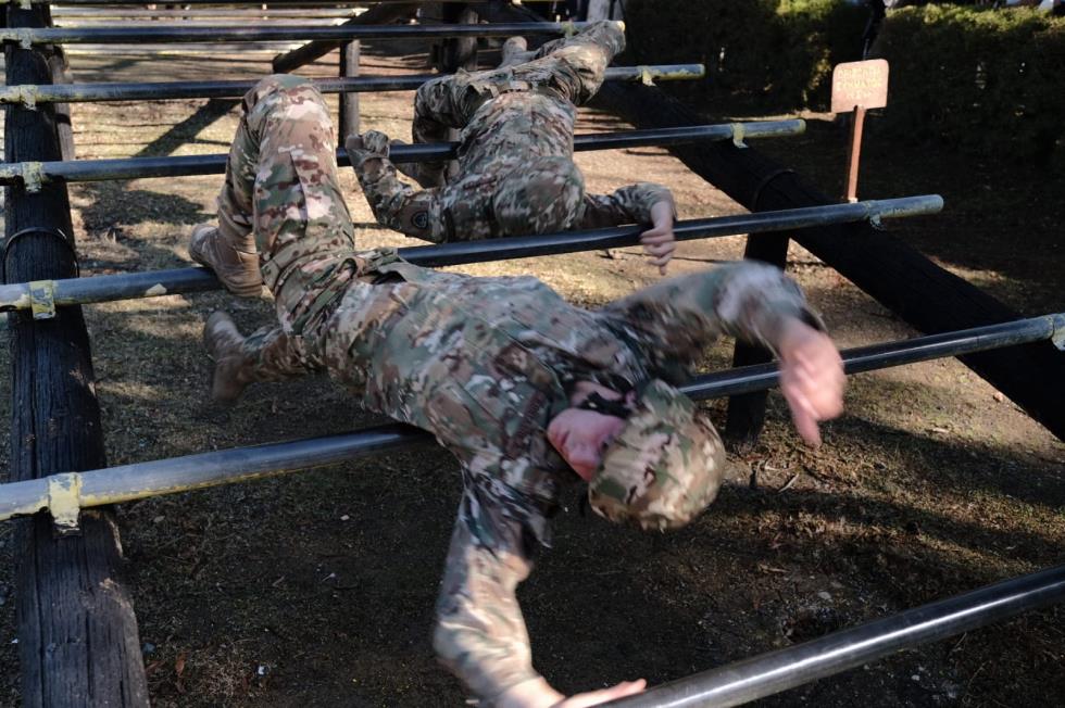 4071616107666896 image