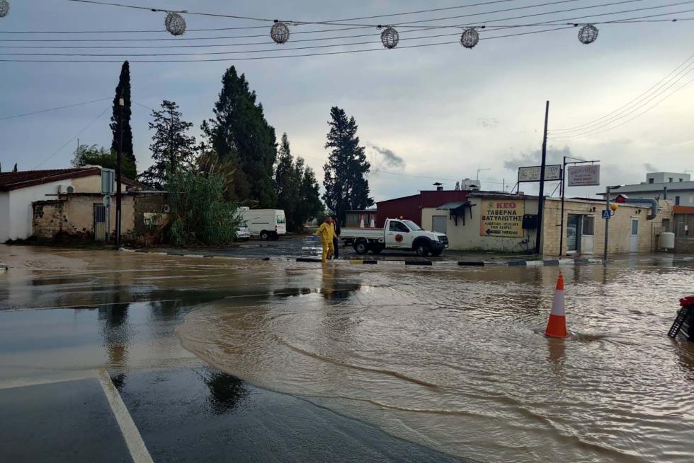 4079445294581355 image