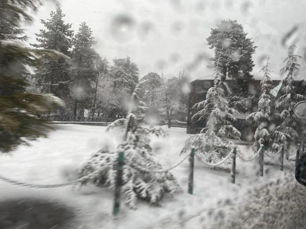 4082137301517732 265572548 10226492441879365 5869257681733964394 n