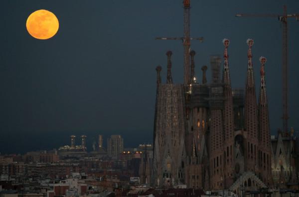 4083165571700820 image