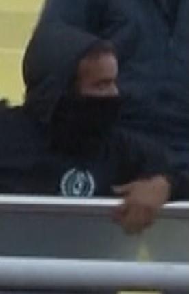 4083796383087272 image