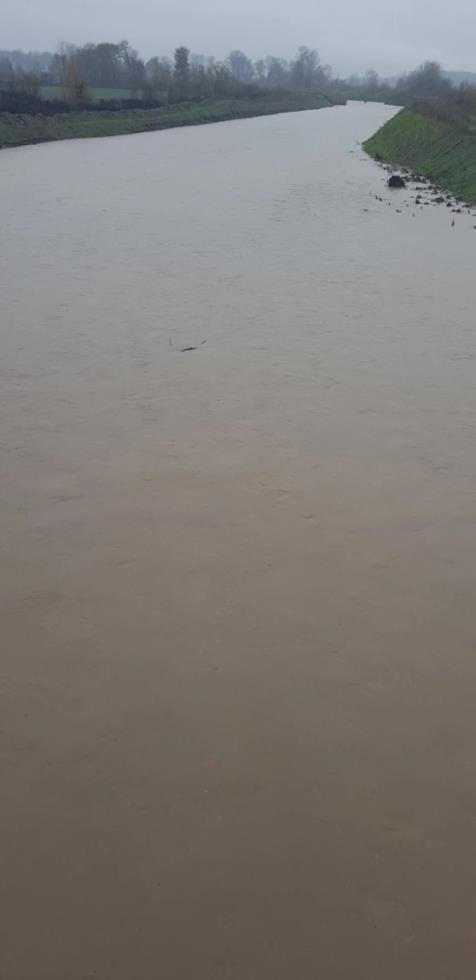 4084633282999865 image