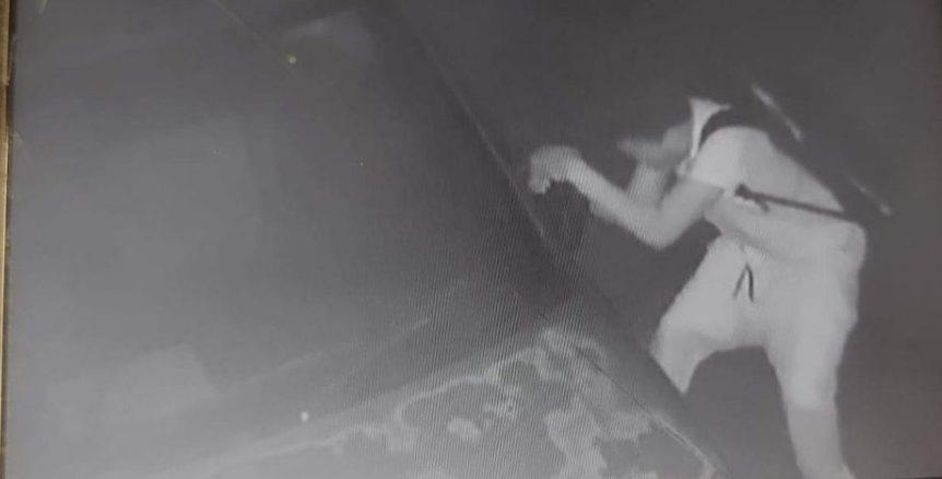 4089954632784563 image