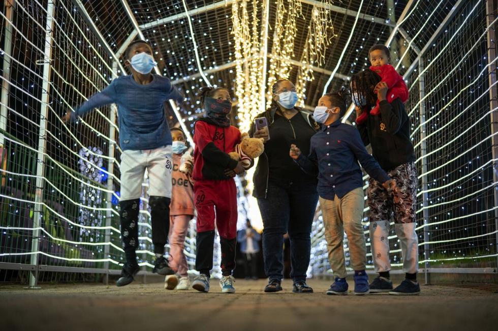 4092690249730132 image