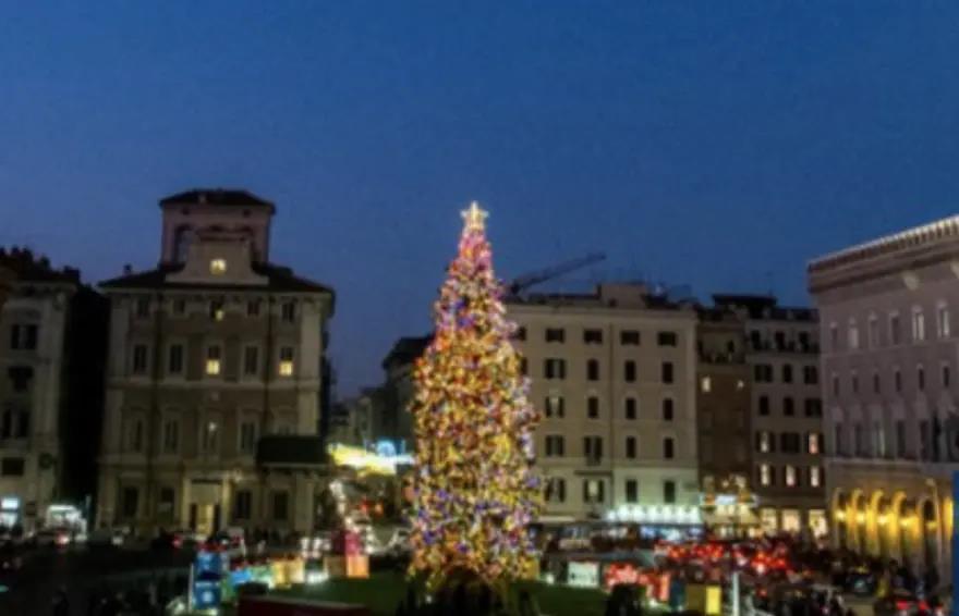 4102084178033028 image