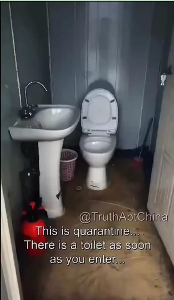 4112326420841808 image