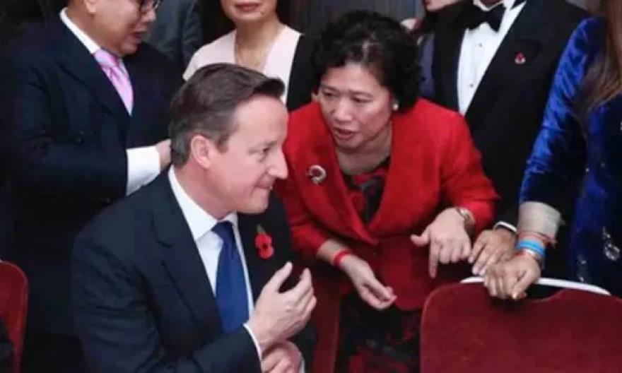 4113459941798171 image