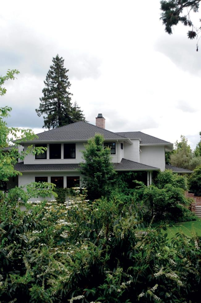 4114945596400259 image