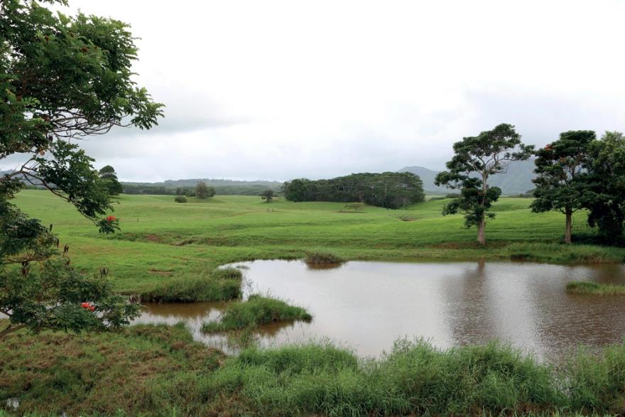 4114945759421304 image