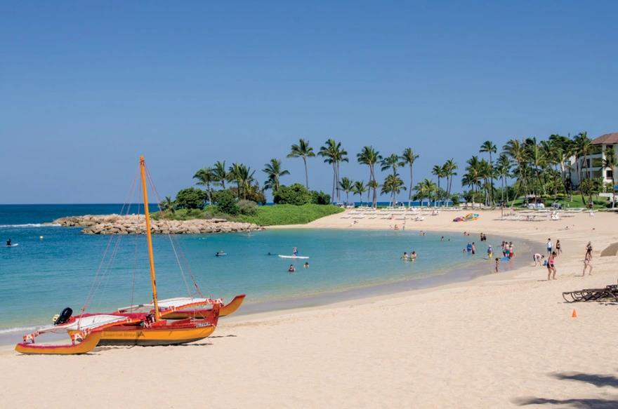 4114945903722229 image