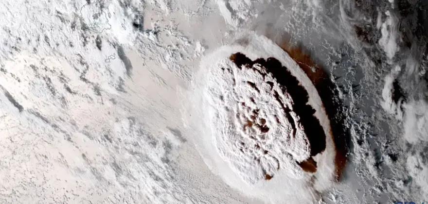 4115030134455466 image