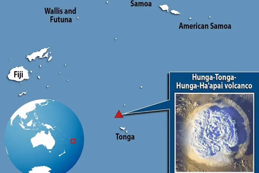 4115030211051957 image