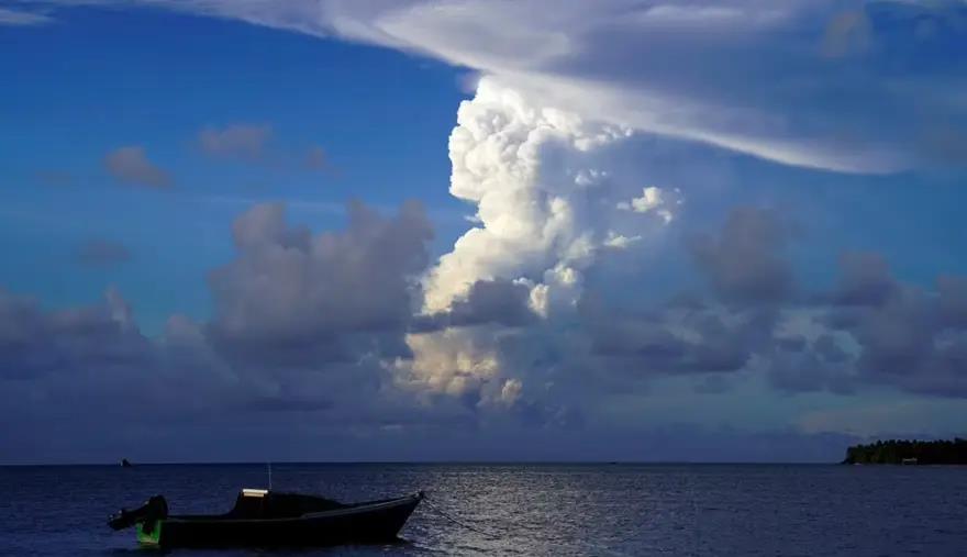 4115030288116451 image