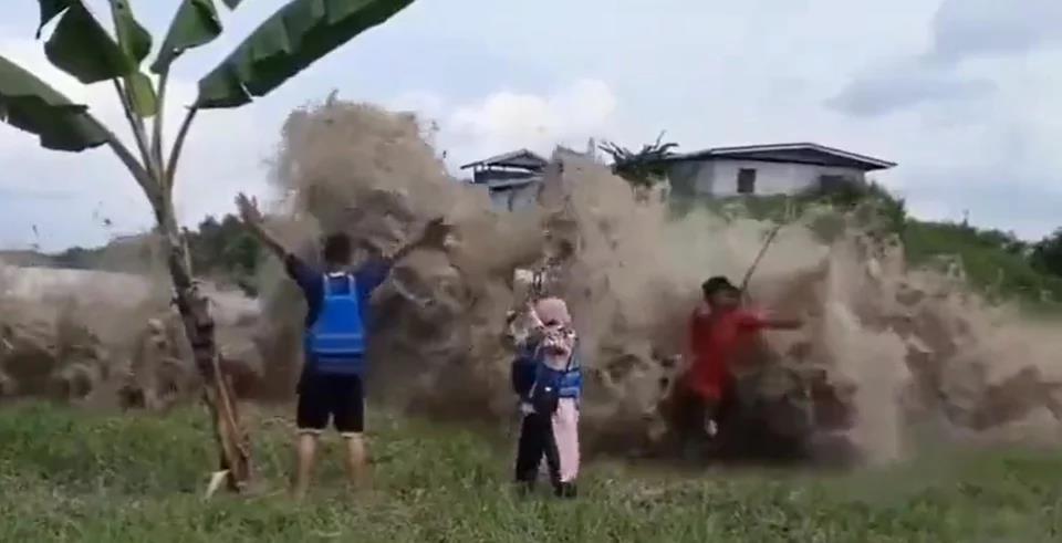 4115107227932000 image