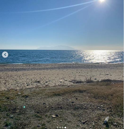 4116478478834124 image