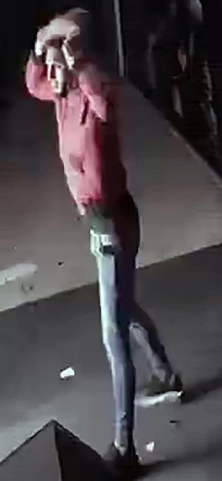 4117575466282324 image