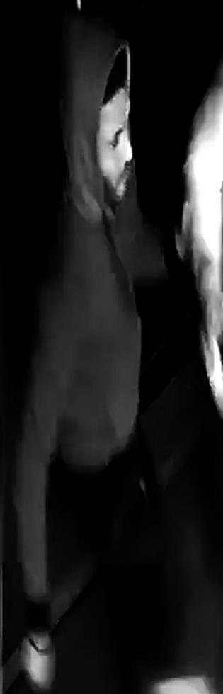 4117575569397663 image